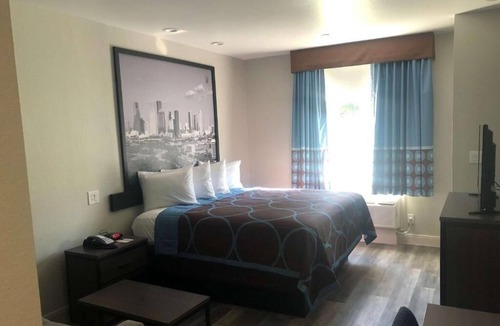 Spring Hotel | Hotel Blue Spring